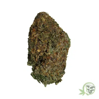 Gelato Punch