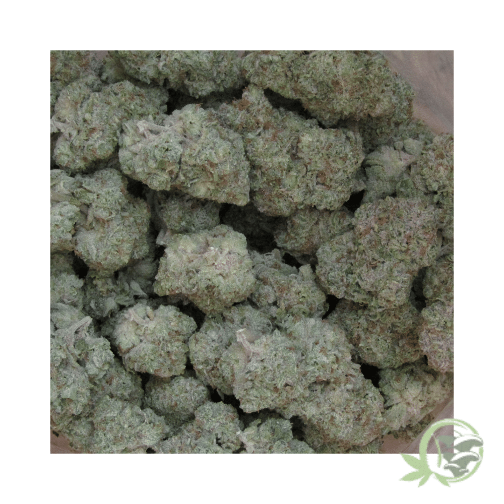 Gorilla Mints - Image 5