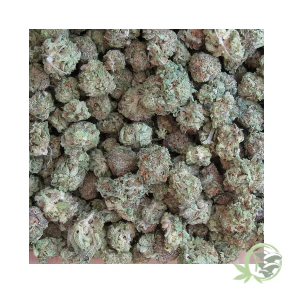 Gushers (Mids) - Image 2