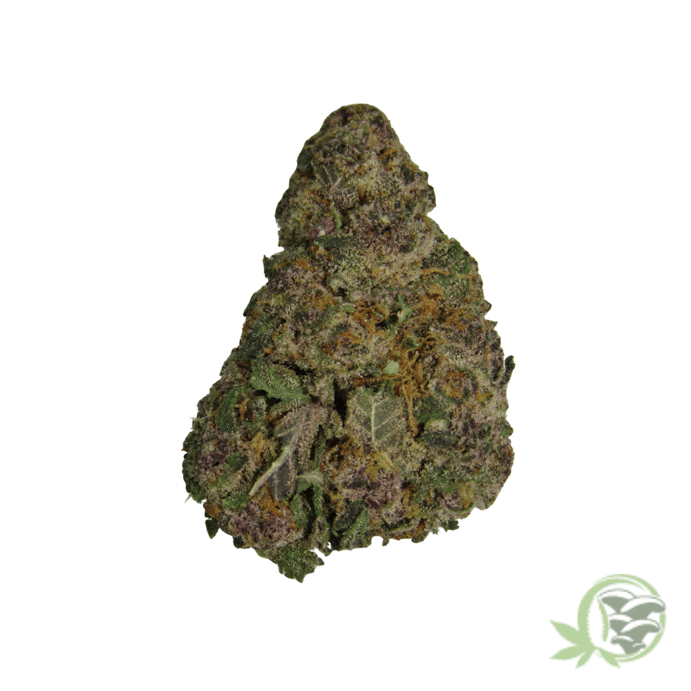 Purple Mimosa - Image 4