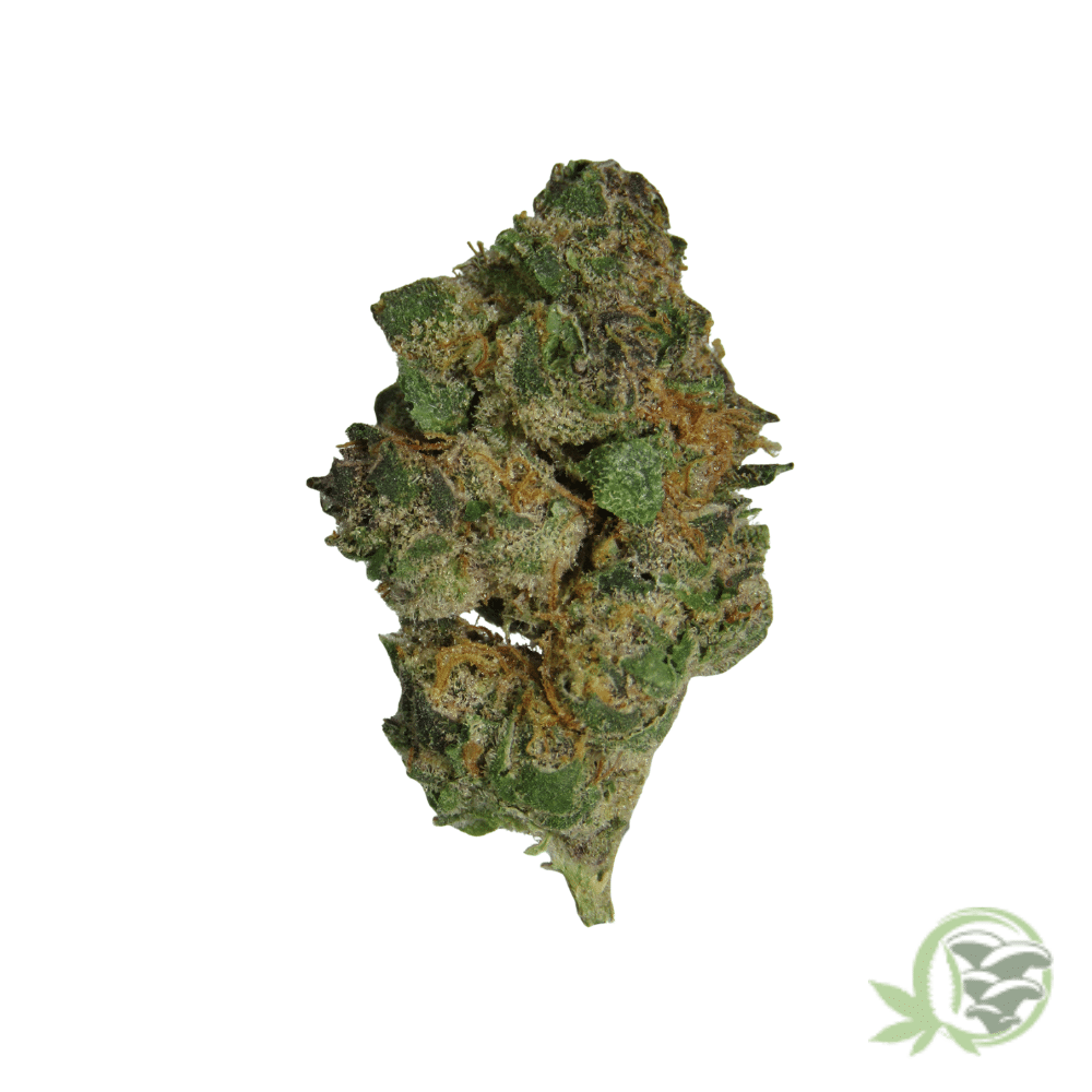 Raspberry (Mids) - Image 5
