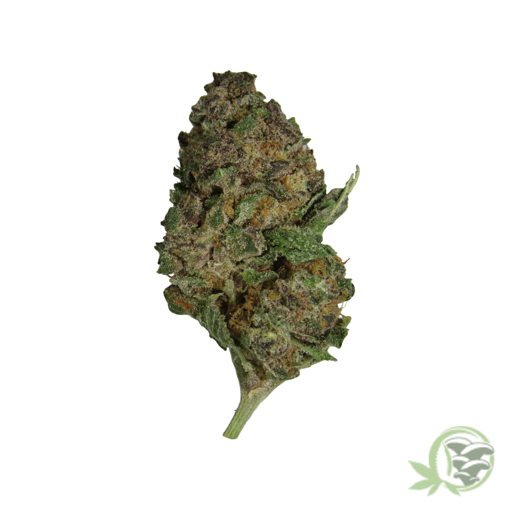 Raspberry (Mids) - Image 4