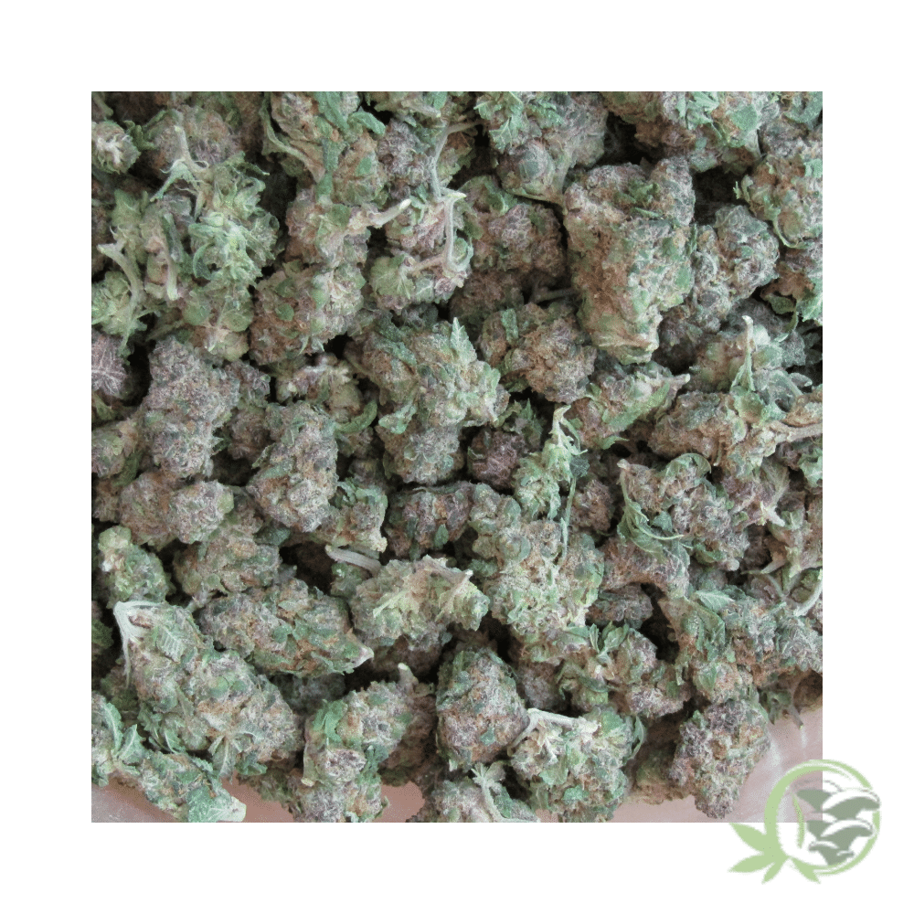 Raspberry (Mids) - Image 2