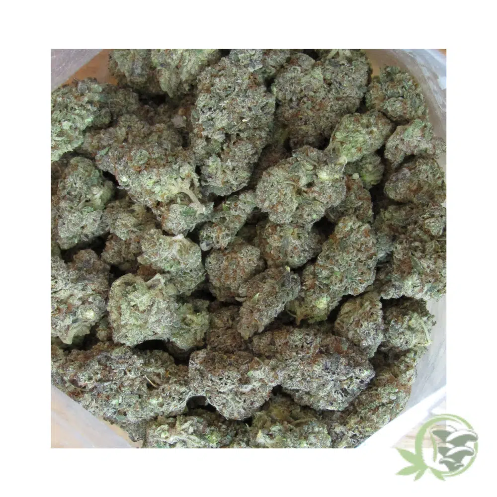 Strawberry Cough - Image 2