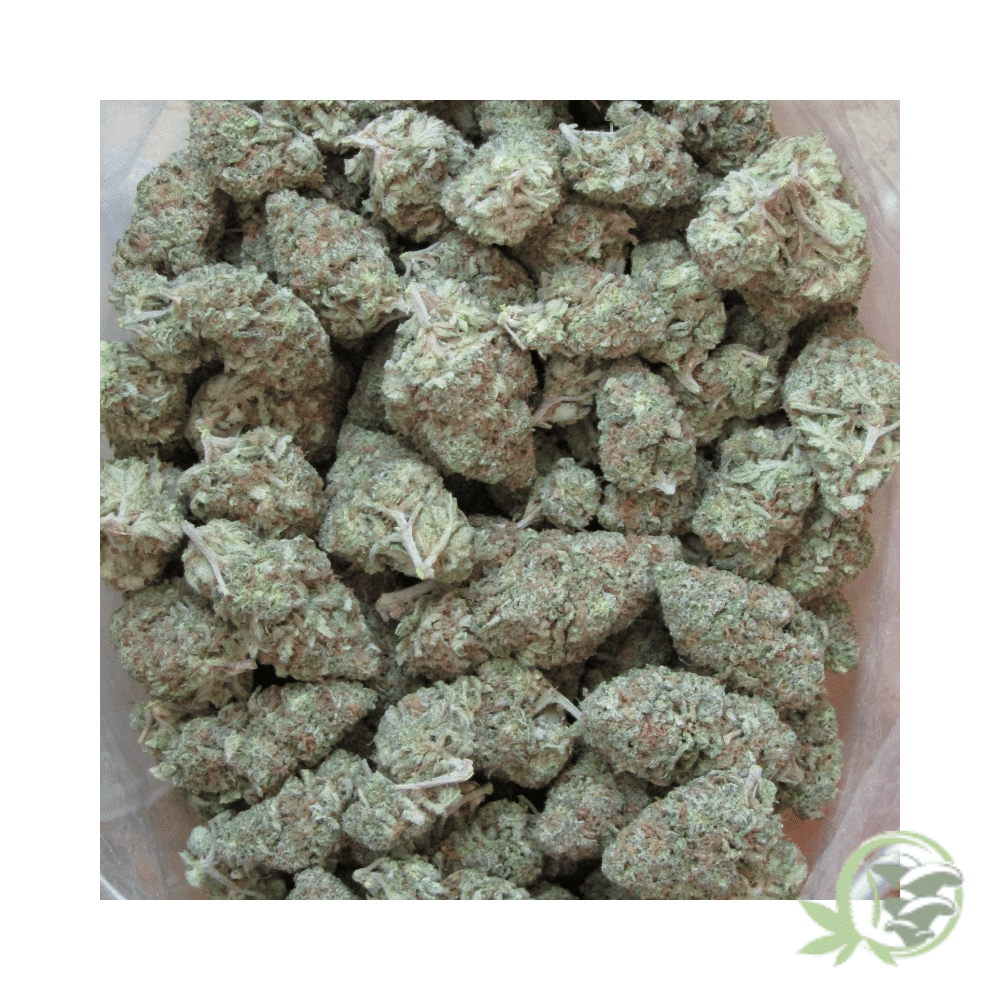 Super Silver Haze - Image 5