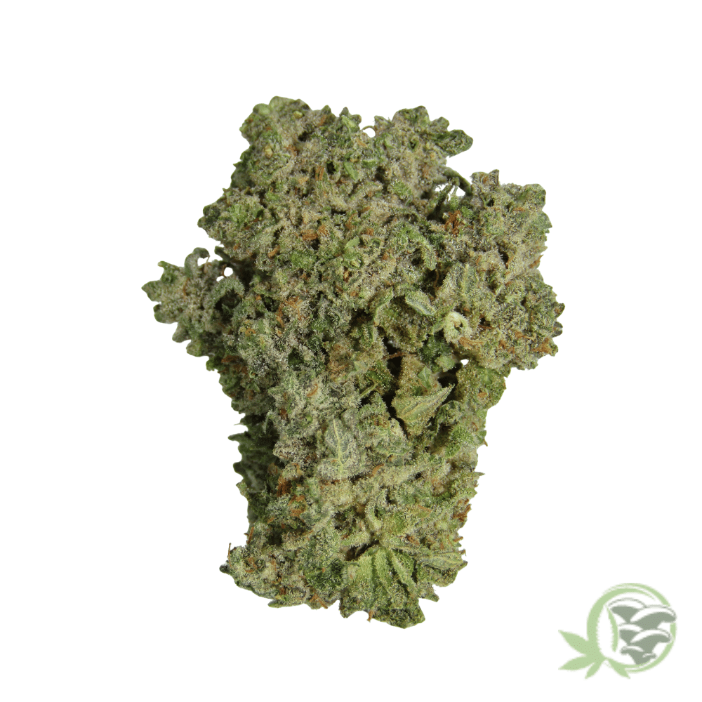 Super Silver Haze - Image 4