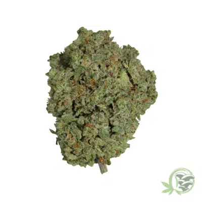 Super Silver Haze