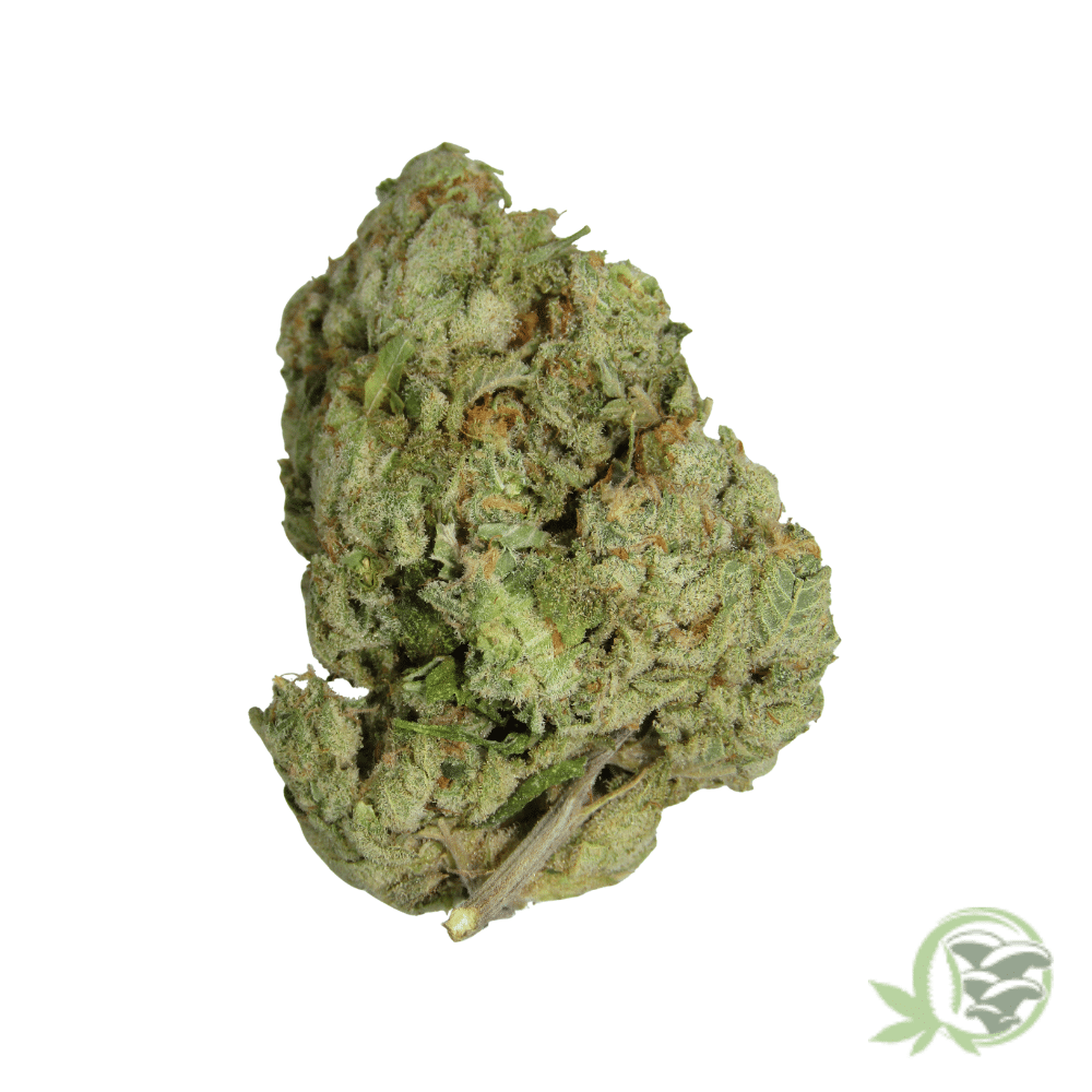 White Widow - Image 4