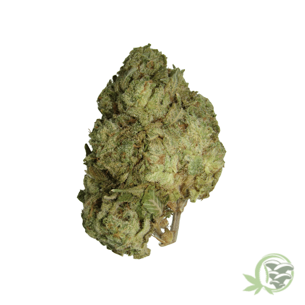 White Widow
