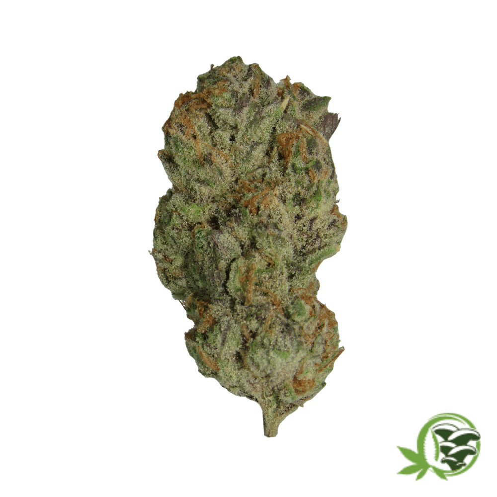 Blue Mountain Durban - Image 4