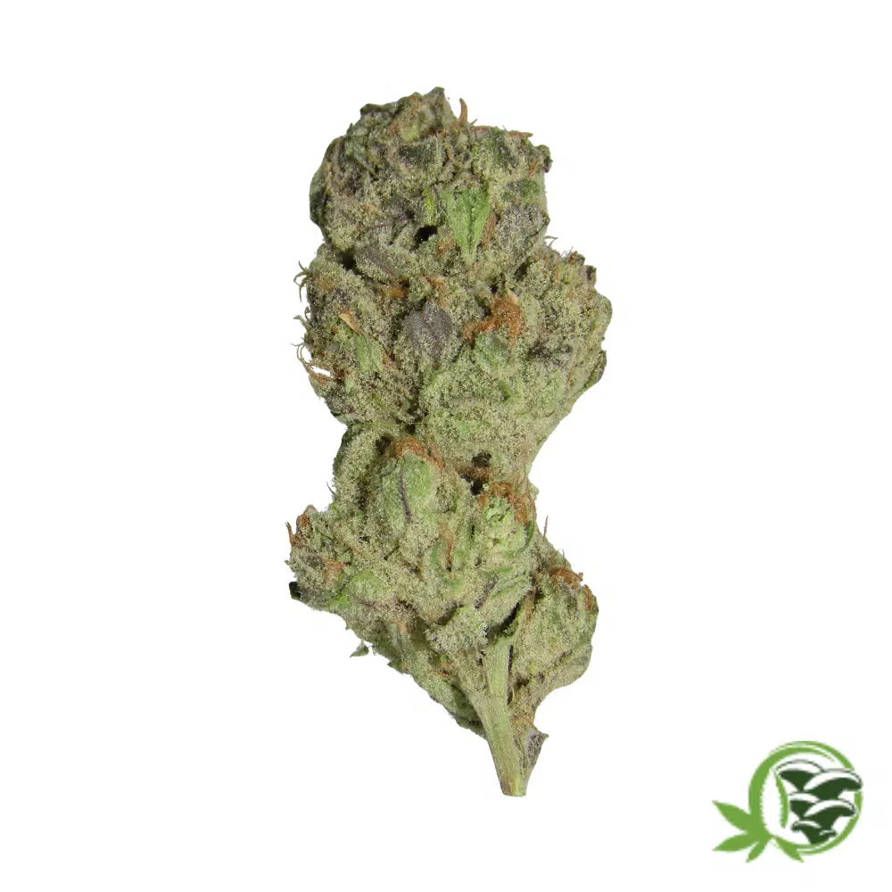 Blue Mountain Durban