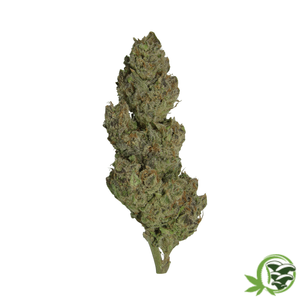 Blue Mountain Durban - Image 3