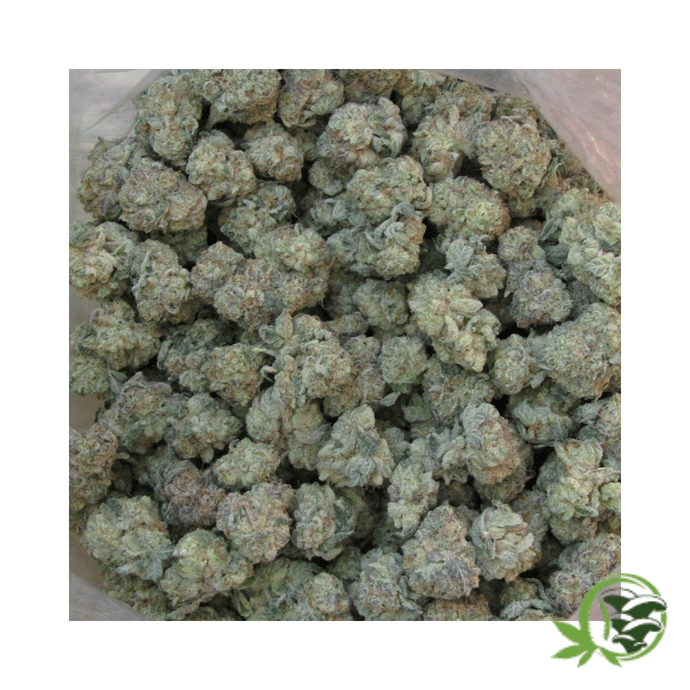 Ice Wine (Mids) - Image 3