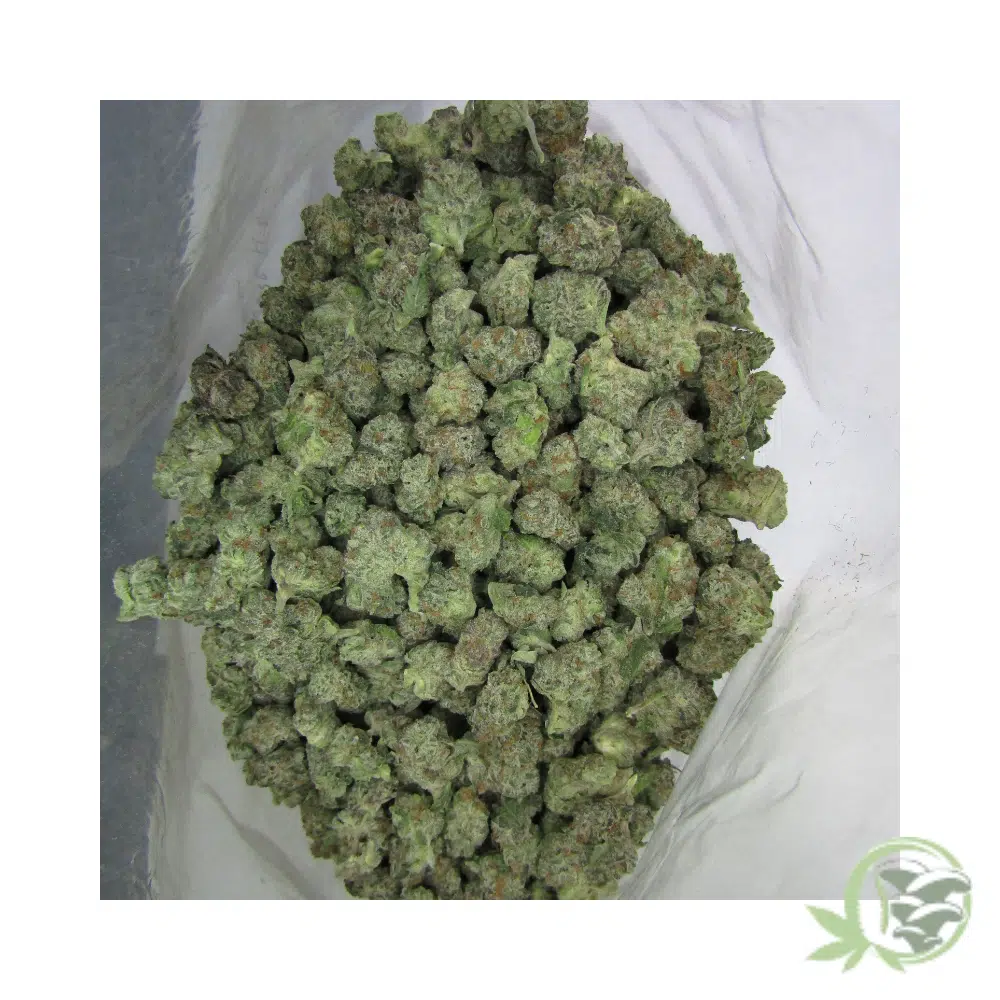 Buckin Runtz (Mids) - Image 5