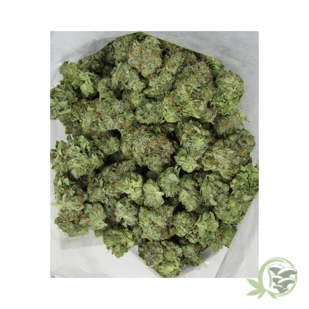 Death Bubba - Image 5