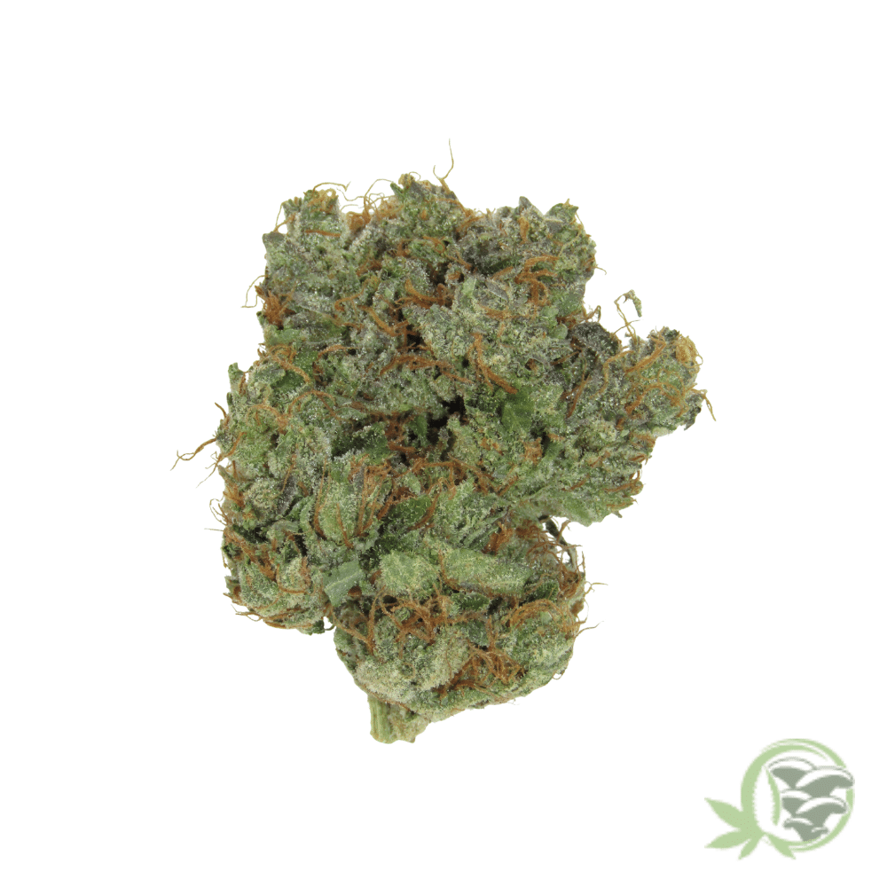 Death Bubba - Image 2