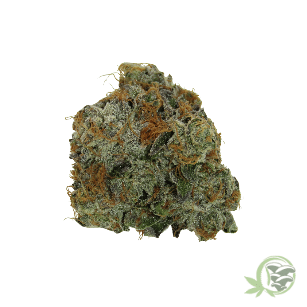 Death Bubba - Image 4