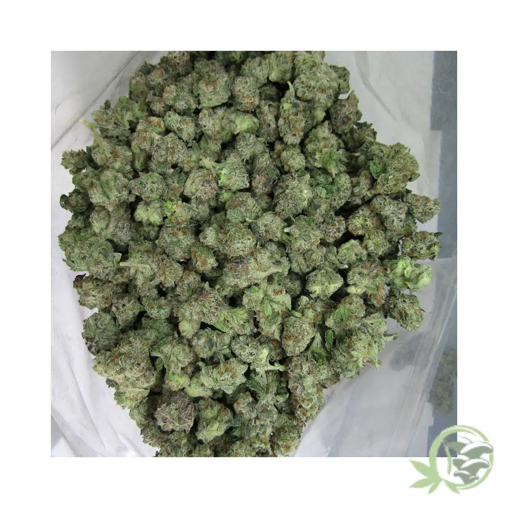 Mango Kush (Mids) - Image 5