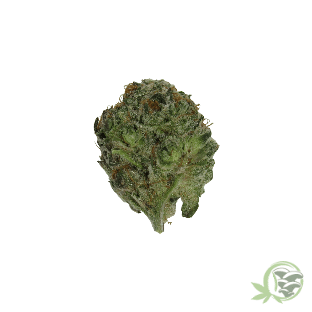 Mango Kush (Mids) - Image 2
