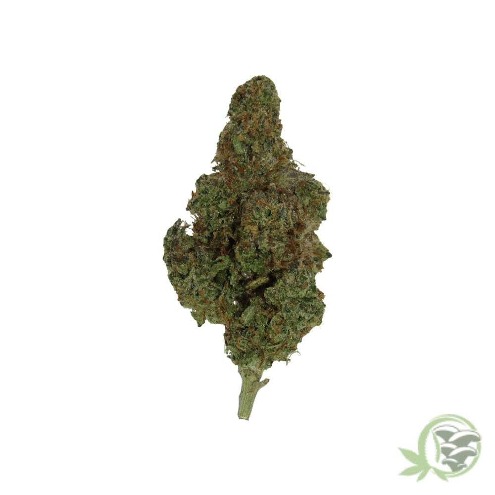 Pink Rockstar - Image 3