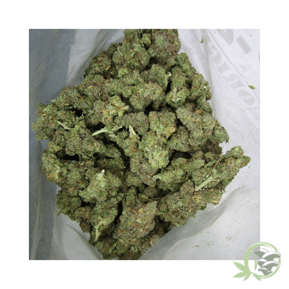 Pink Rockstar - Image 5