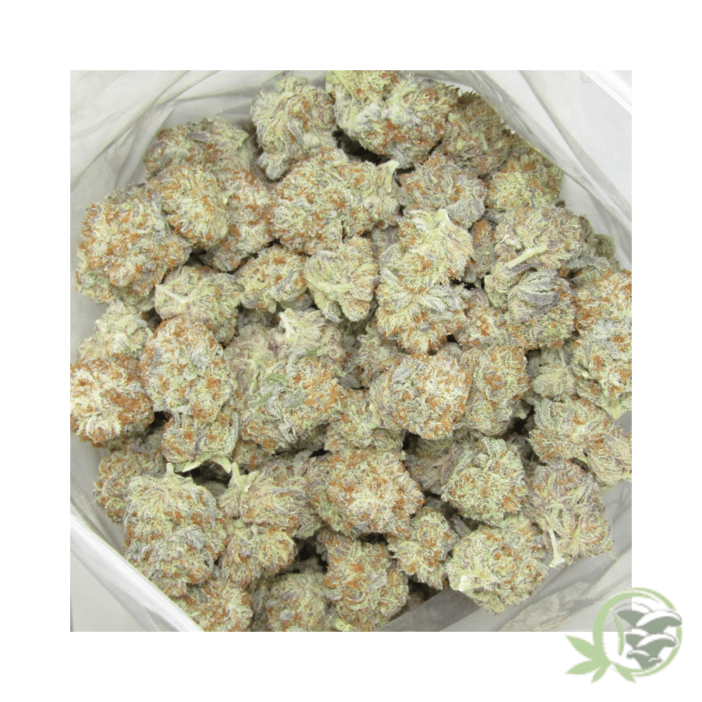 Zombie Bubba - Image 5