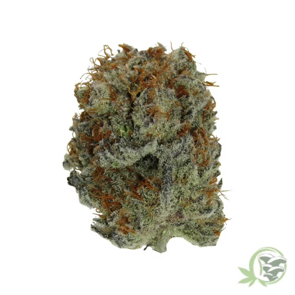 Zombie Bubba - Image 3