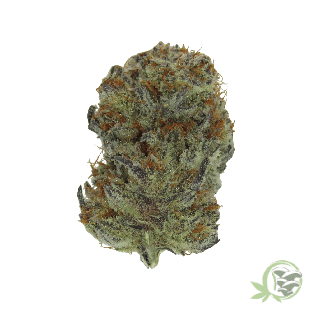 Zombie Bubba - Image 2