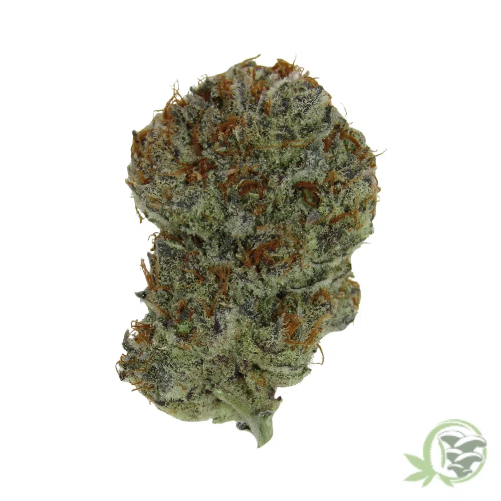 Zombie Bubba - Image 4