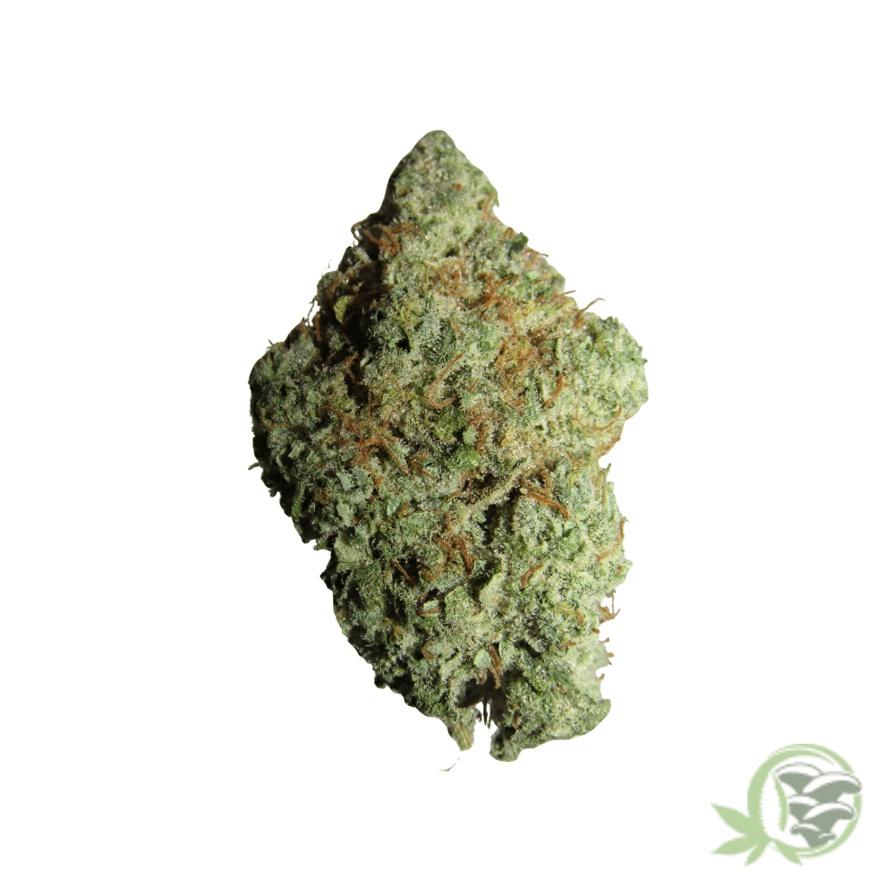 Gorilla Glue #4 - Image 3