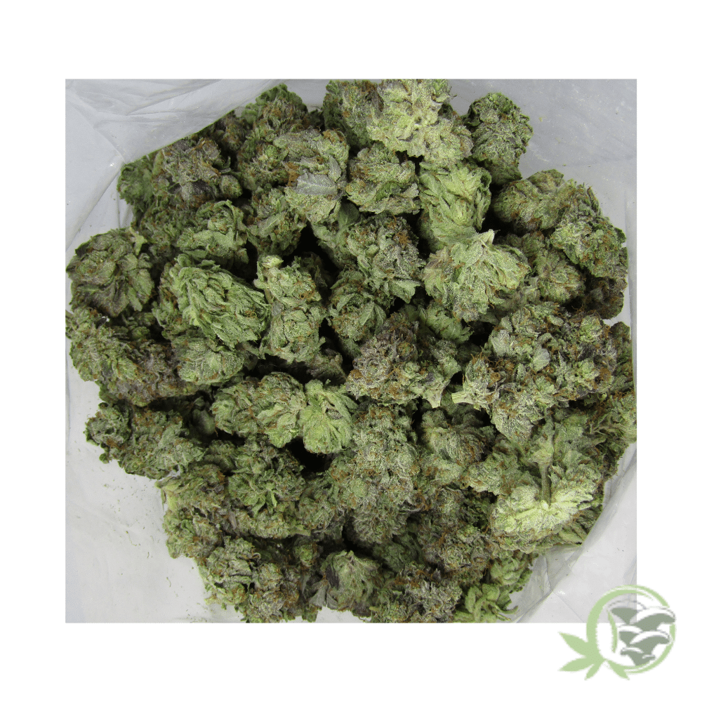 Lindsay OG - Image 5