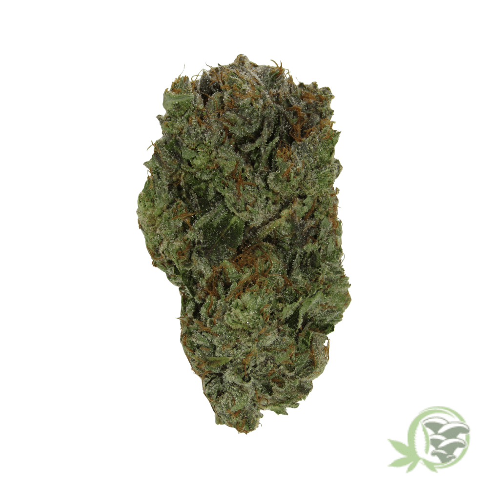 Lindsay OG - Image 4