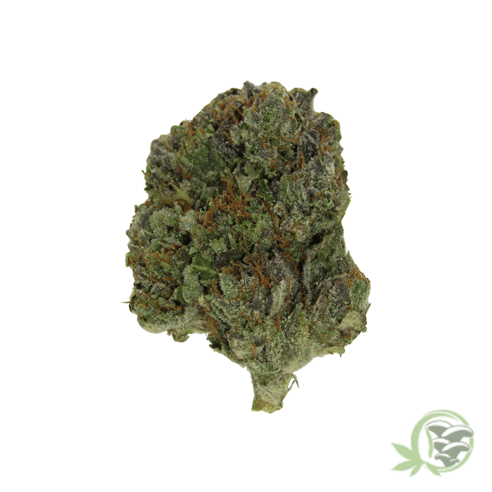 Lindsay OG - Image 3