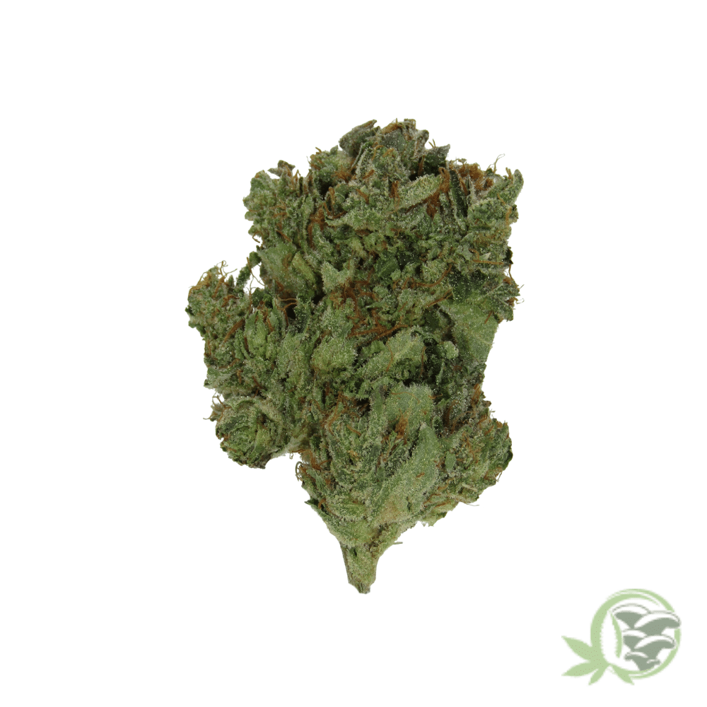 Lindsay OG - Image 2