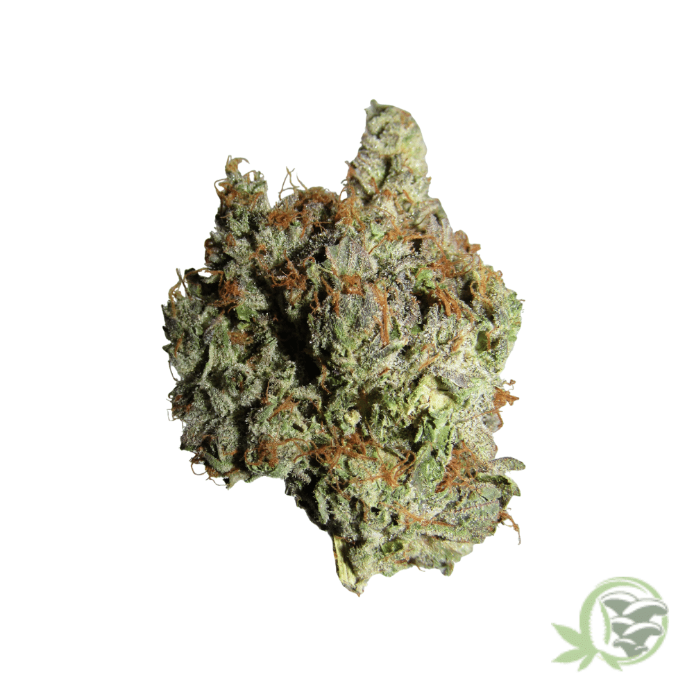 Master Kush - Image 4