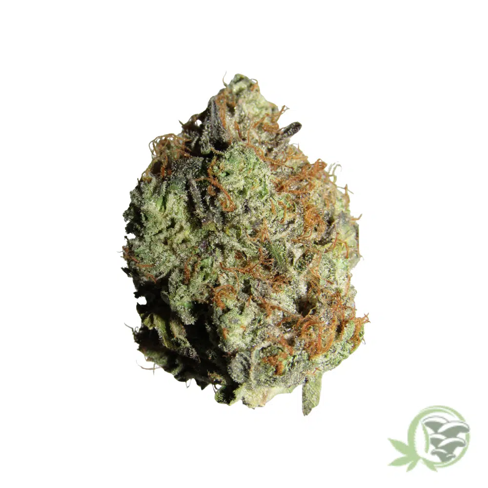 Master Kush - Image 3